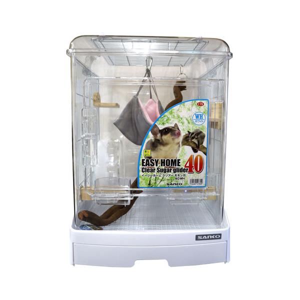 フクロモモンガ飼育 イージーホーム クリアーモモンガ40WH 飼育7 フクロモモンガ飼育 イージーホーム クリアーモモンガ40WH 飼育7