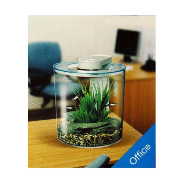 Gex アクア360アール Ledライトろ過器付水槽セット 只今 3980円以上で送料無料 4 6 10時まで Buyee Buyee 日本の通販商品 オークションの代理入札 代理購入