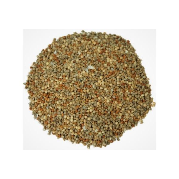 小鳥の餌 オリジナル フィンチの基本食 (皮付き) 450g とりのえさ