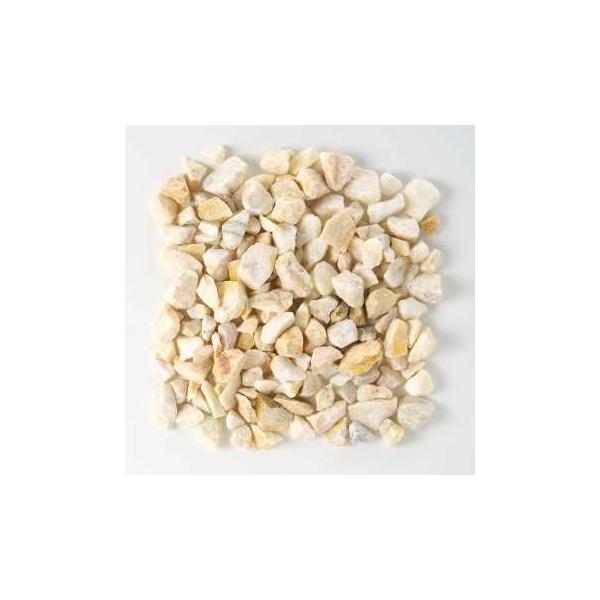 GR-Y@쏊@ύ@gF̐΁iCG[j