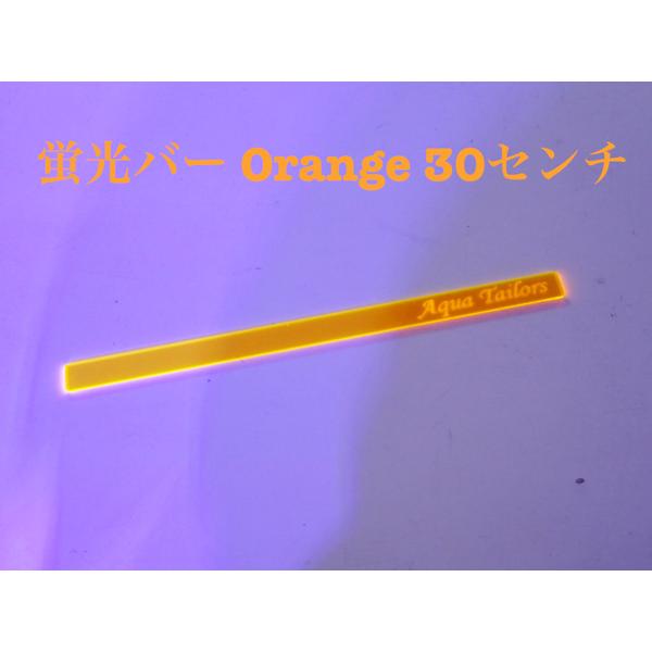 水槽をより鮮やかに！！