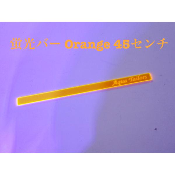 水槽をより鮮やかに！！