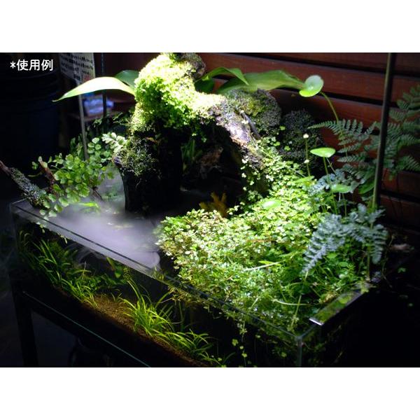 超音波霧発生装置 ミストメーカー Buyee Buyee Japanese Proxy Service Buy From Japan Bot Online