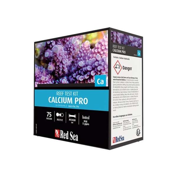 Red Sea JVEveXgLbg ([teXgLbg JVEv)