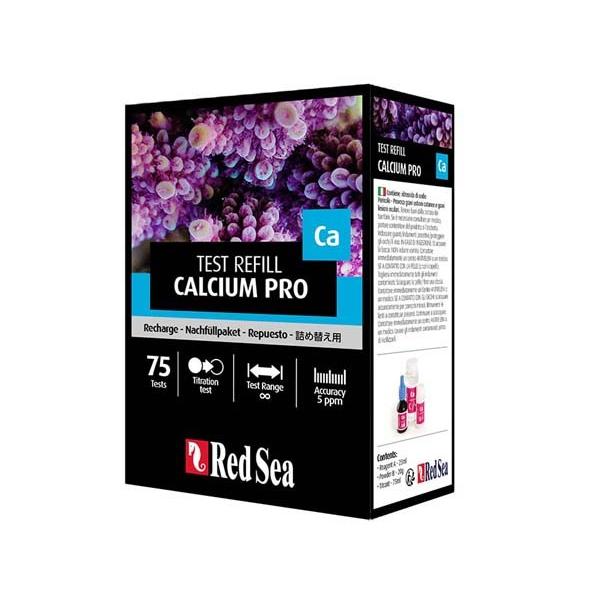 Red Sea JVEveXgLbgp lߑւp ([teXgLbg JVEv)