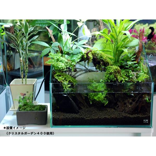 aquatailors_343000006000_1