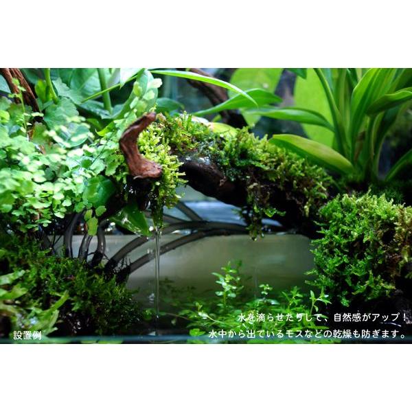 aquatailors_343000006000_2