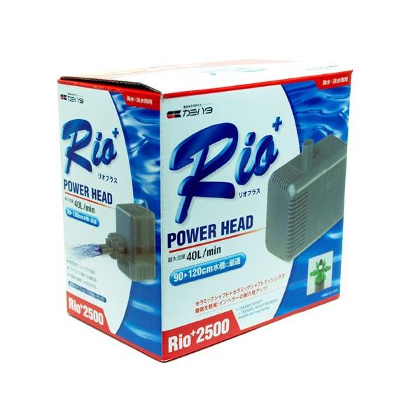 J~n^ Rio+ IvX2500 60Hz