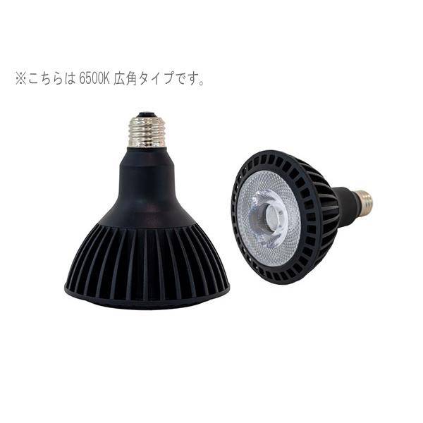 京セラ CERAPHIC いきもの電球 6500K(昼光色) 広角 : アクアテイラーズ