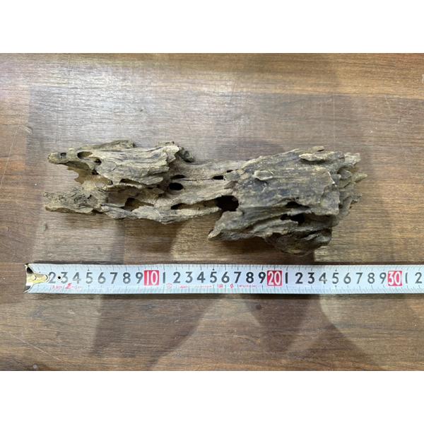 スタッフセレクト流木 Cave wood ケイブウッド No.1 : アクア