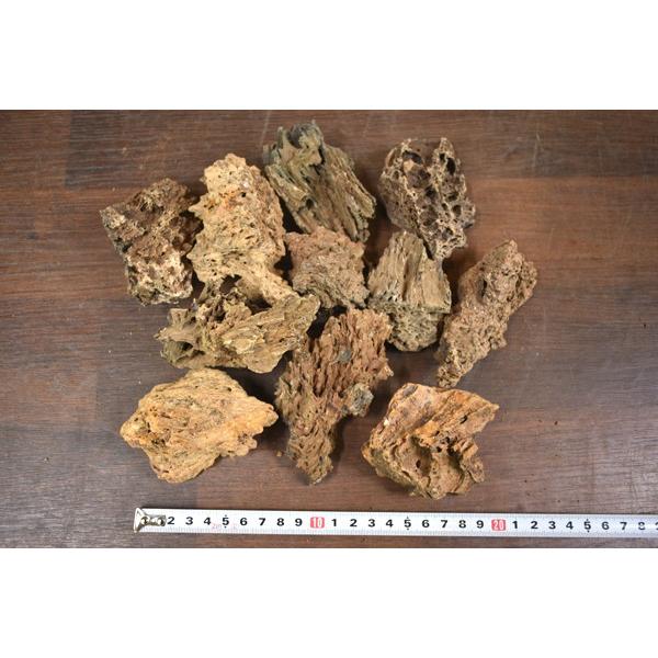 Wood stone EbhXg[ STCYMIX 1kg
