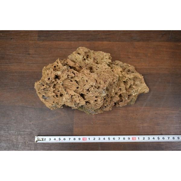 Wood stone ウッドストーン LサイズMIX 約3.5kg : アクア