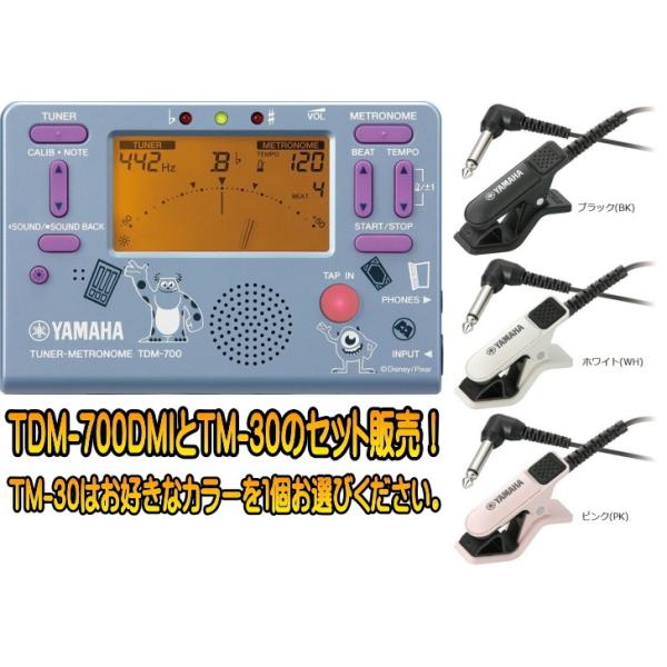 ヤマハ ディズニー限定モデル モンスターズ・インク TDM700DMI と  