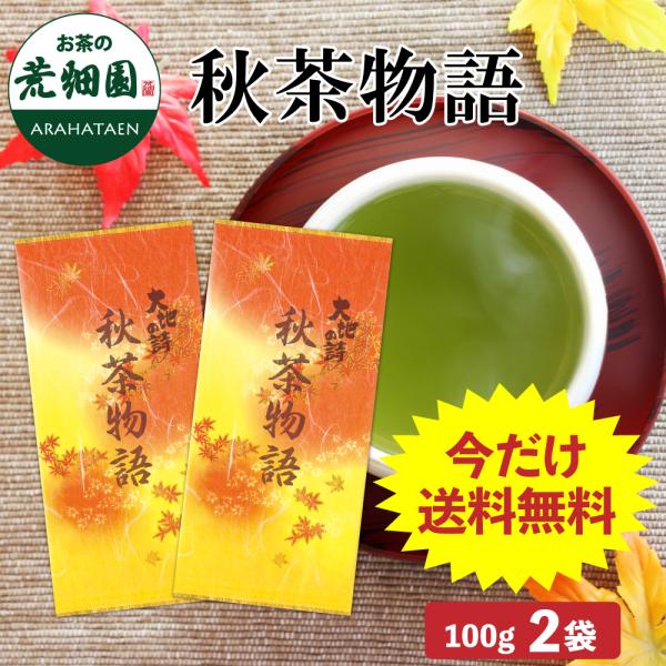 お茶 緑茶 お茶の葉 茶葉 日本茶 深蒸し茶 静岡茶 季節限定茶 秋茶物語 100g 2袋 メール便 送料無料 爆買