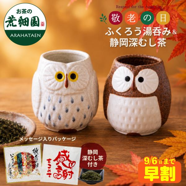 敬老の日 プレゼント 80代 70代 ギフト 2026 お茶 緑茶 茶葉 深蒸し茶 ふくろう柄湯のみ2個・静岡茶箱入 ポイント利用 爆買
