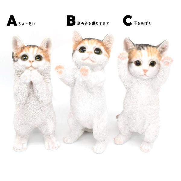 ネコ 猫 オブジェ オーナメント 置物 インテリア : アラジン