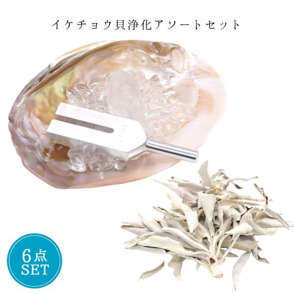 浄化アソート】イケチョウ貝 パールシェル クリスタルチューナー 浄化