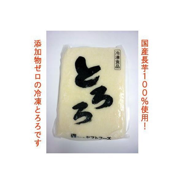 まとめ買い】ヤマトフーズ 冷凍とろろ（1kg）×10袋 : 南越後の