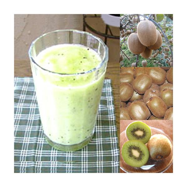 冷凍便 和歌山産 キウイフルーツスムージー 農家さんから直接分けてもらうくだもの キウイフルーツ レモン みかんの花の蜂蜜 Buyee Buyee Jasa Perwakilan Pembelian Barang Online Di Jepang