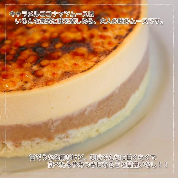 キャラメルココナッツムース かつらぎ町上垣内さんのリンゴ入りココナッツムースとアーモンド入りカラメルムースのケーキ 5号 15cmホール 冷凍便 Buyee Buyee Japanese Proxy Service Buy From Japan Bot Online