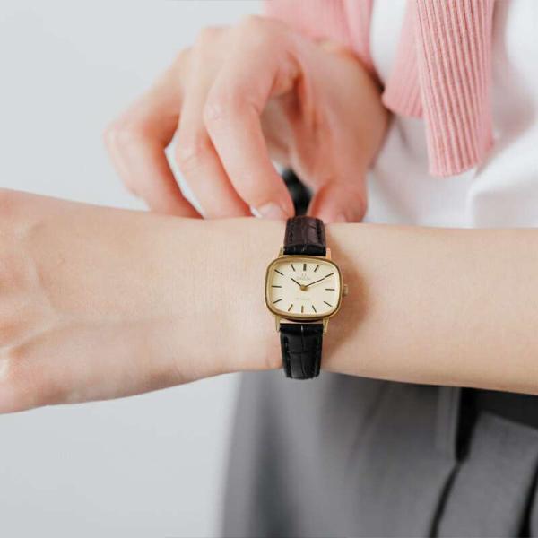 アナカラージャオウガ パーツセット 計46枚 楽天市場】OMEGA オメガ カウレザー ベルト ステンレス