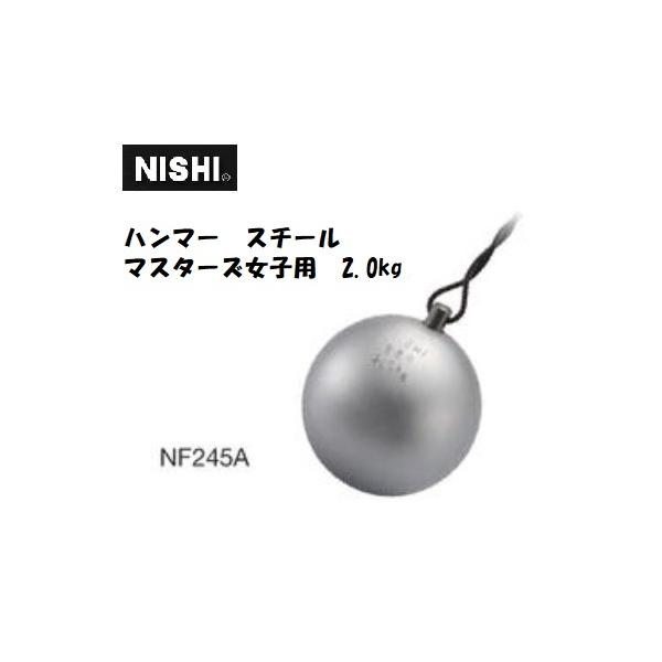 jVEX|[ciNISHIjn}[ X`[ }X^[Yqp 2.000kg NF245A