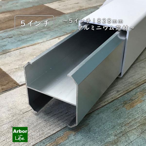 A~jEcނTC` 1828 10Mic[TChI[vj