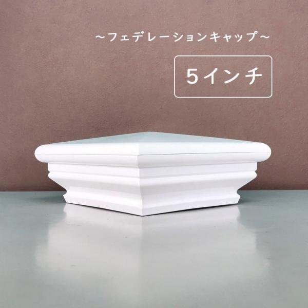 �L���b�v �t�F���X ������ �z���C�g �� DIY PVC �m�� �A�����J���t�F���X �n���h���[���t�F���XT�^ �t�F�f���[�V�����L���b�v5�C���` �o�C�i���t�F���X ���i�摜1