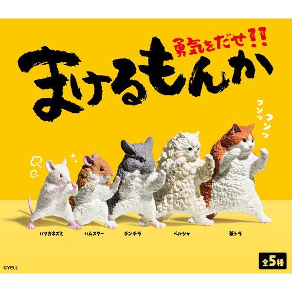 新品】エール まけるもんか：BOX《10個入》 : アークオンライン Yahoo