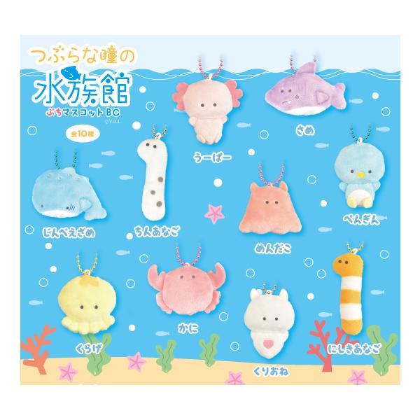 新品】エール つぶらな瞳の水族館 ぷちマスコットBC：BOX《10個