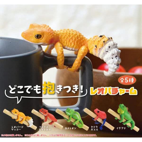 新品】エール どこでも抱きつき！レオパチャーム：BOX《10個入