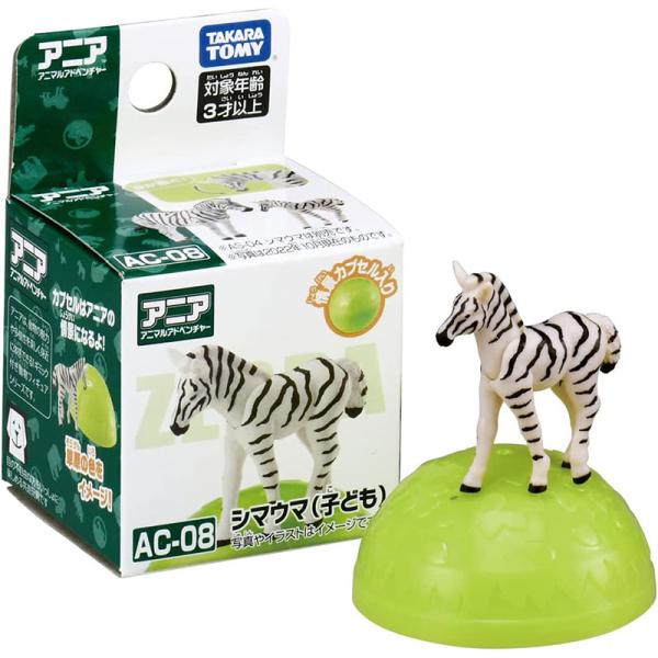 arc-online_4904810223696