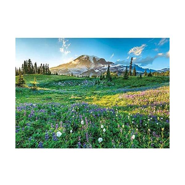 yVizWO\[pY yȂ}Eg[jA 500s[X(38x53cm)