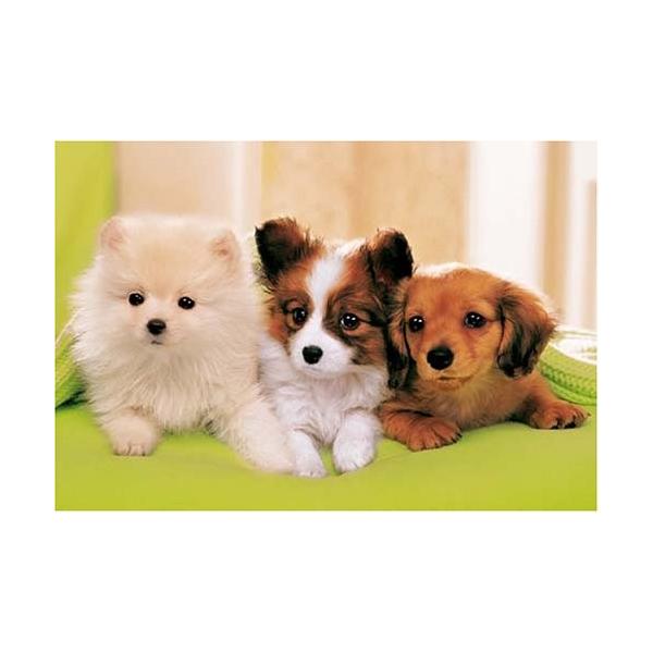 yVizWO\[pY    300s[X(26x38cm)