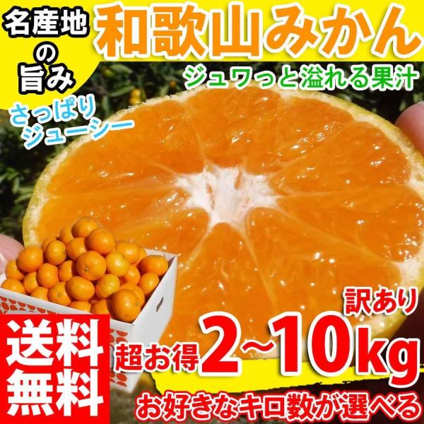 みかん 送料無料 10kg その他のフルーツの人気商品 通販 価格比較 価格 Com