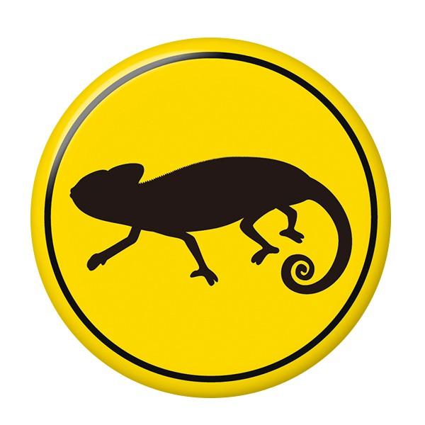 カメレオン チャームの人気商品 通販 価格比較 価格 Com