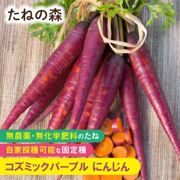 たねの森 コズミックパープル にんじん 無農薬 無化学肥料 固定種 自家採種 ポイント消化