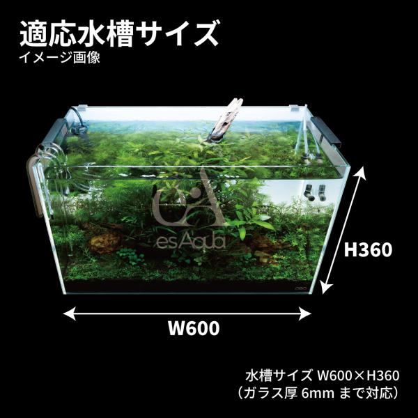 arch-global_es-002_1_d_20221027151418