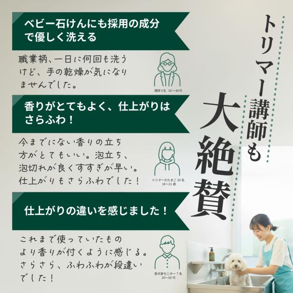 arch-global_sol-sp-citrus-300_2_d_20260309104445