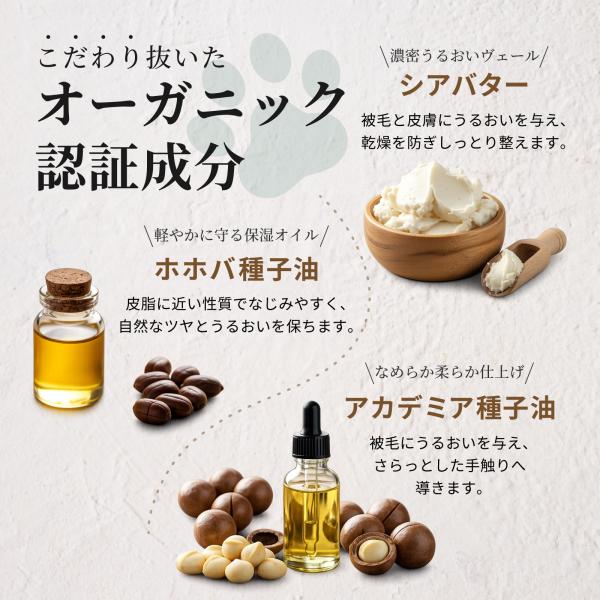 arch-global_sol-sp-citrus-300_3_d_20260309104455