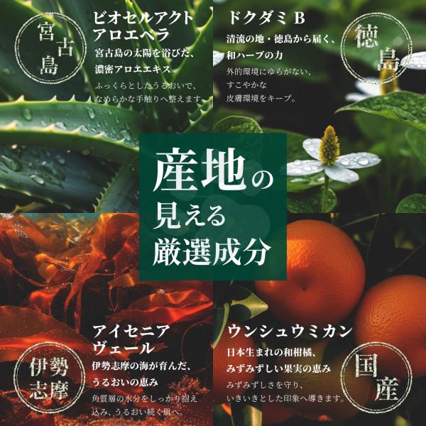 arch-global_sol-sp-citrus-300_4_d_20260309104531