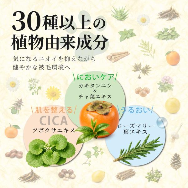 arch-global_sol-sp-citrus-300_5_d_20260309104536