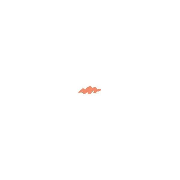 TtH[h JX}J[ FM PC1036 Neon Orange lI IW