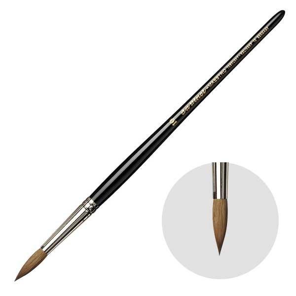 �_���B���`��M 10-10�� ���E���h(��) ���ʕM �R�����X�L�[�� MAESTRO (202015)