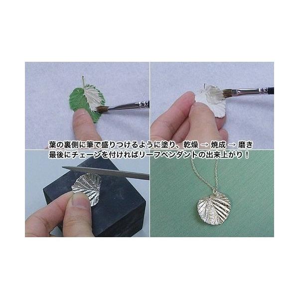 arcoasis2_4582267836661_1