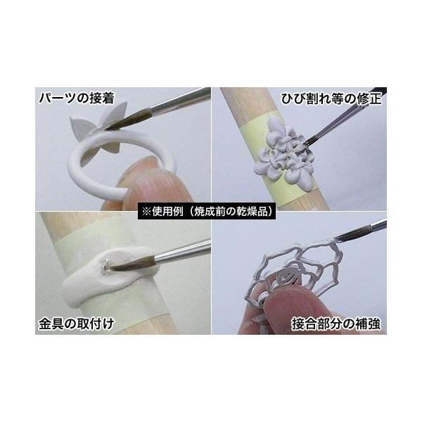 arcoasis2_4582267836661_2