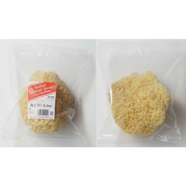 zxC VRC No.5 r 15×16cm 212105