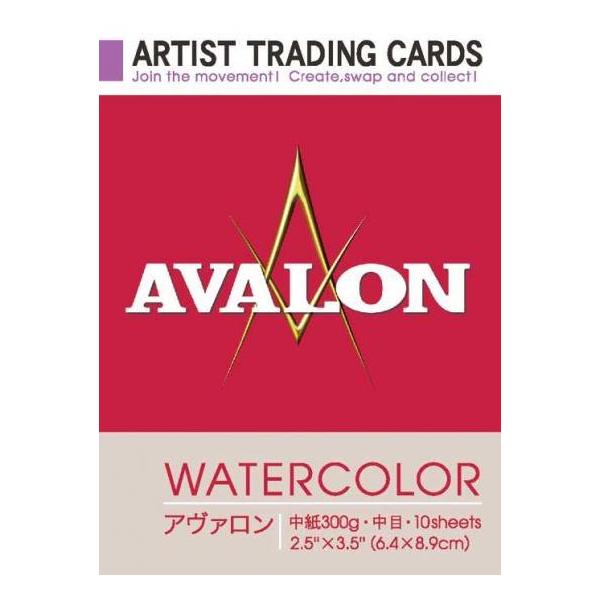 A[eBXgg[fBOJ[h A@ʎ 300g  (263217) zxC HOLBEIN zxC HOLBEIN