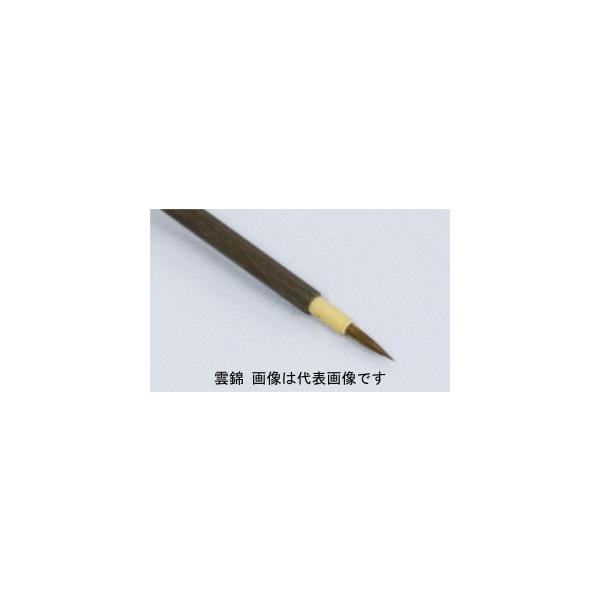 听 _я (81342002) {EfUCM
