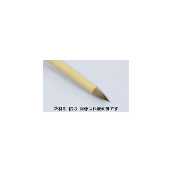 学校教材用の隈取筆は含みが良く絵具の着色、ボカシ、水彩用として、一般向けにも充分使用出来る品質の製品です。穂先の種類・形状 ： 隈取規格・号数・No ： 小穂先サイズ（約、穂幅×穂丈） ： 7.6×20mm全長（約） ： 21cm主な用途 ...